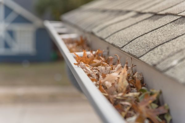 Leaf Barrier Installation in Chicago